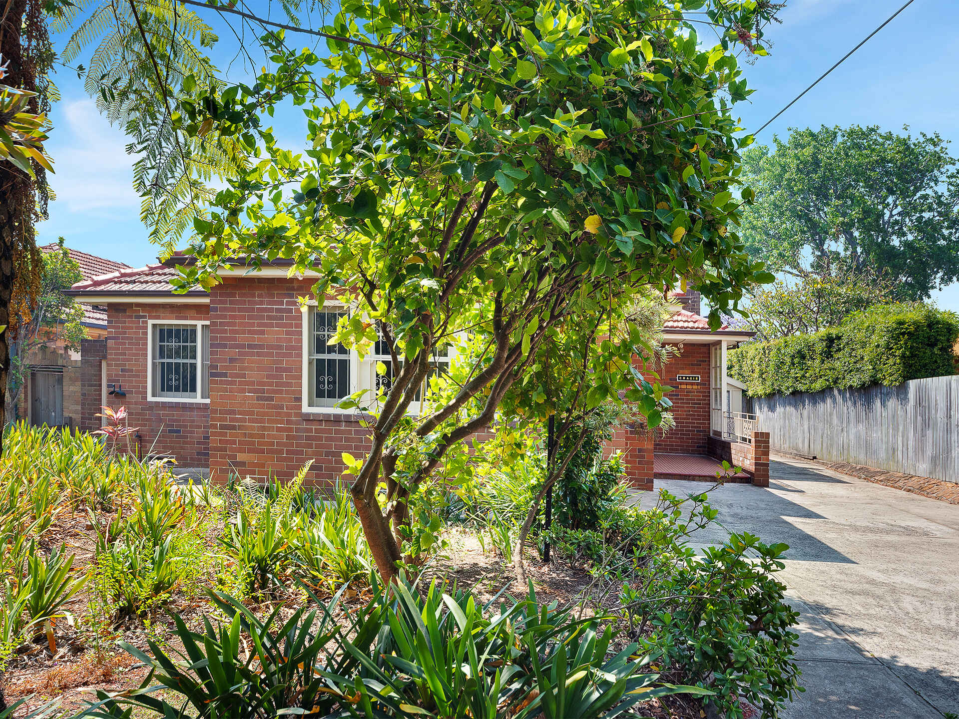 97 Edinburgh Road Castlecrag