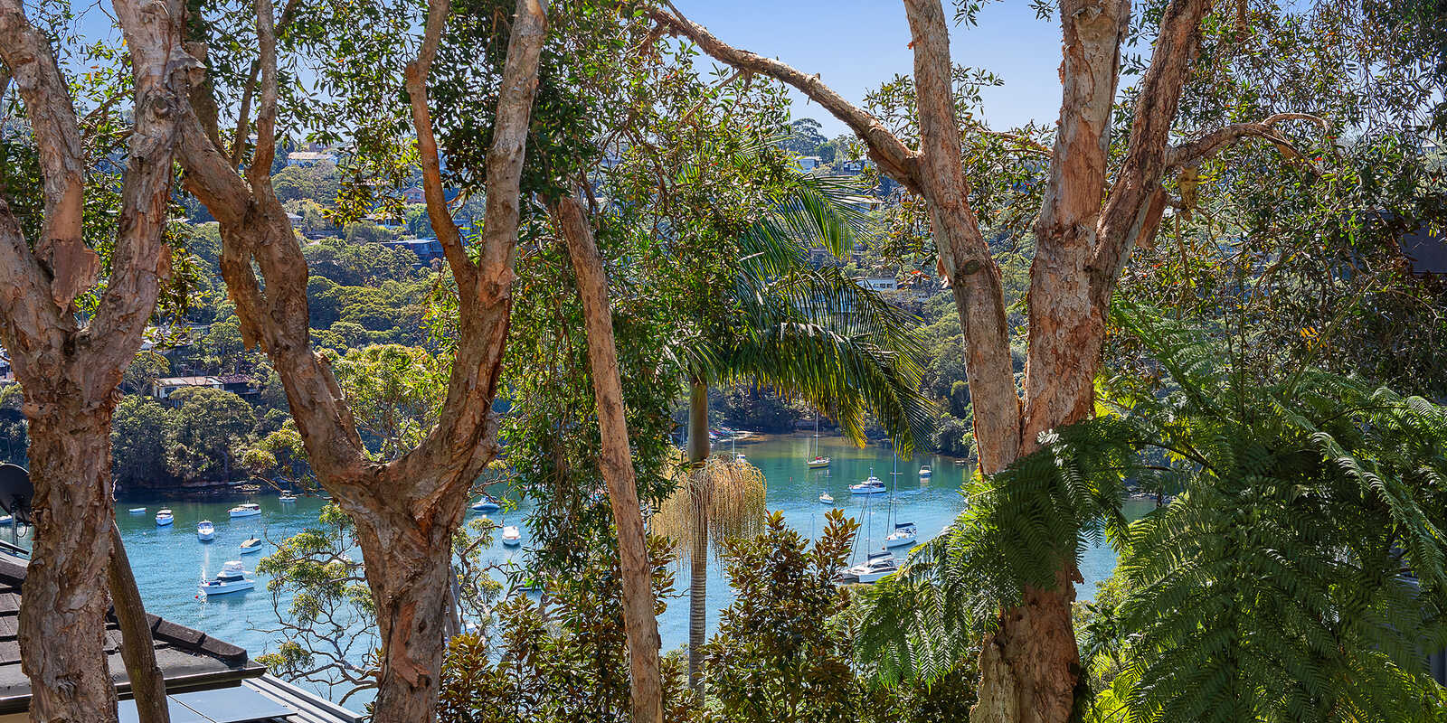 13 Minnamurra Road Northbridge 13 Minnamurra Road Northbridge