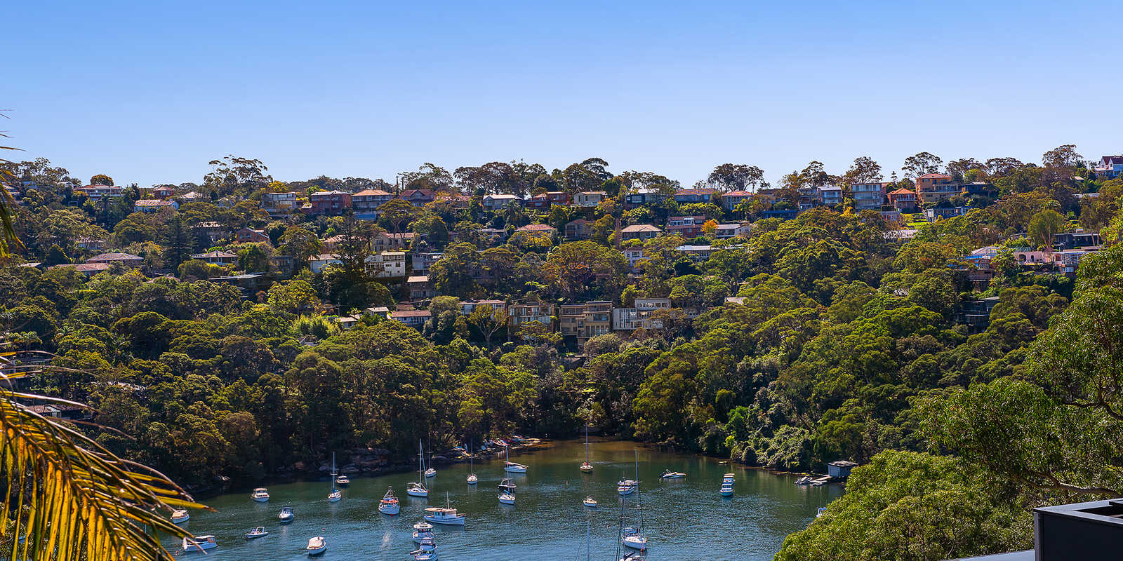 13 Minnamurra Road Northbridge 13 Minnamurra Road Northbridge