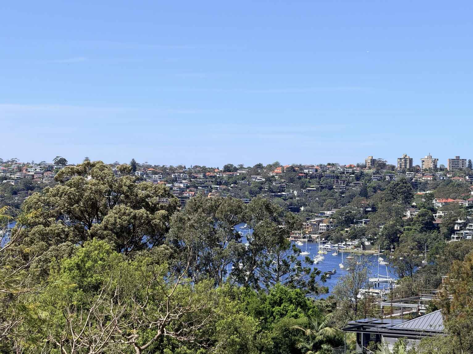 40A Pine Street East Cammeray