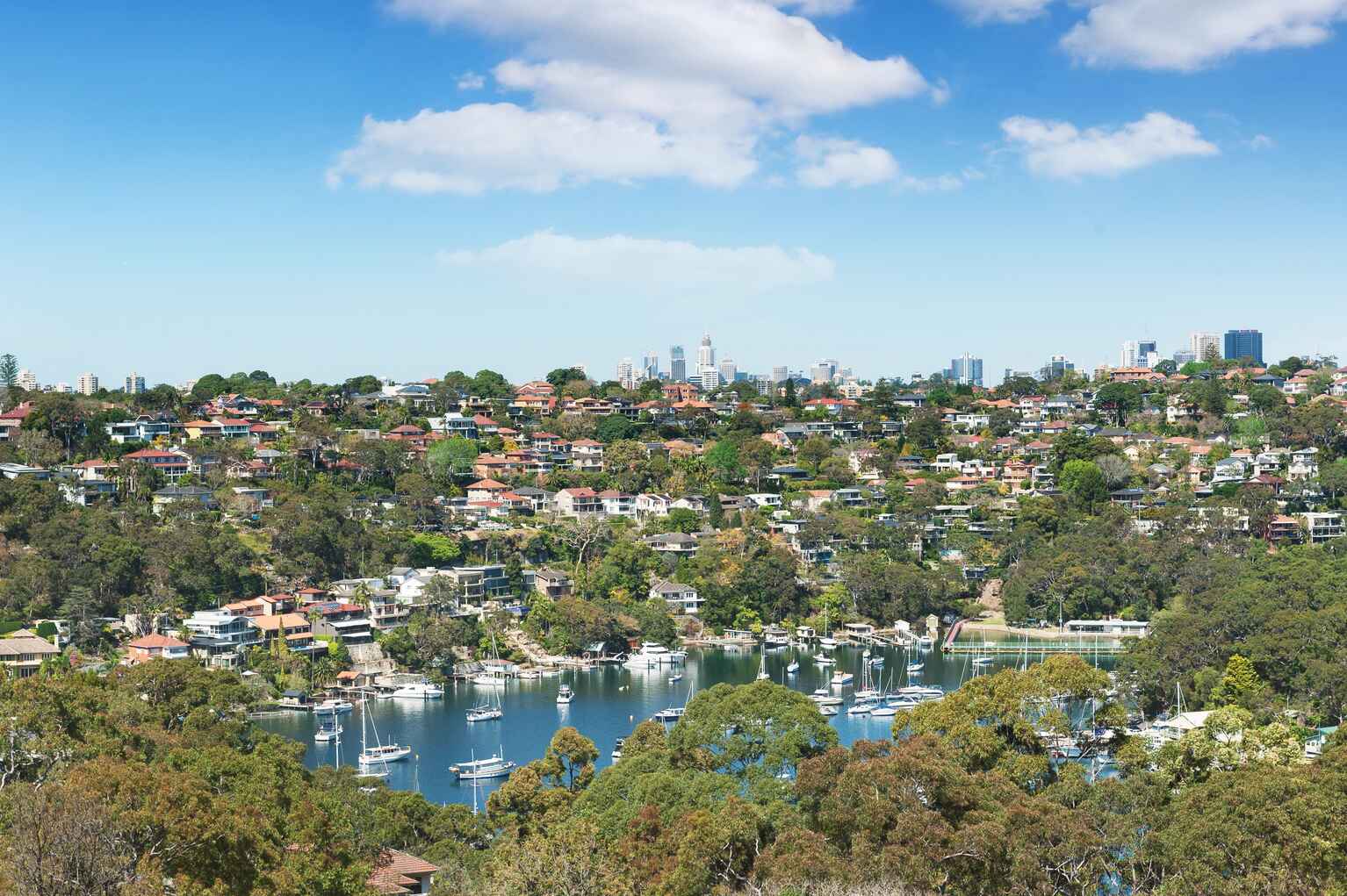 242  Edinburgh Road  Castlecrag