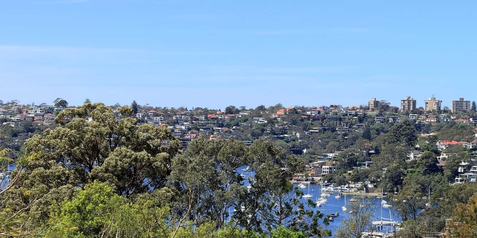 40A Pine Street East Cammeray