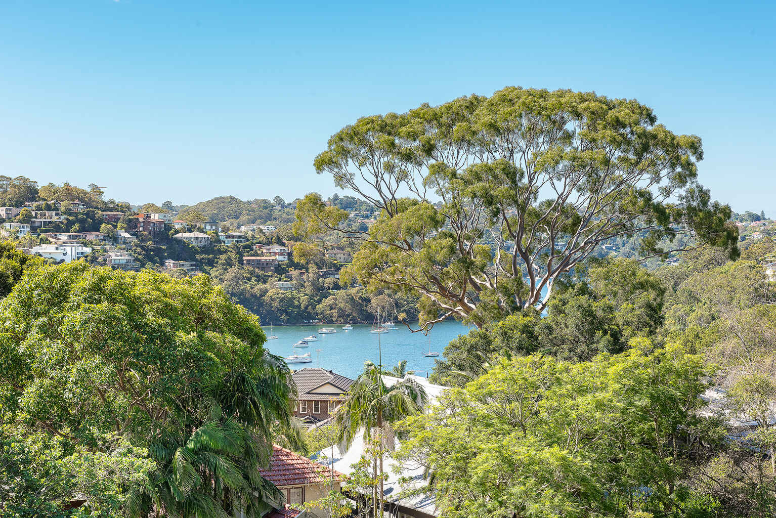 92 Kameruka Road Northbridge