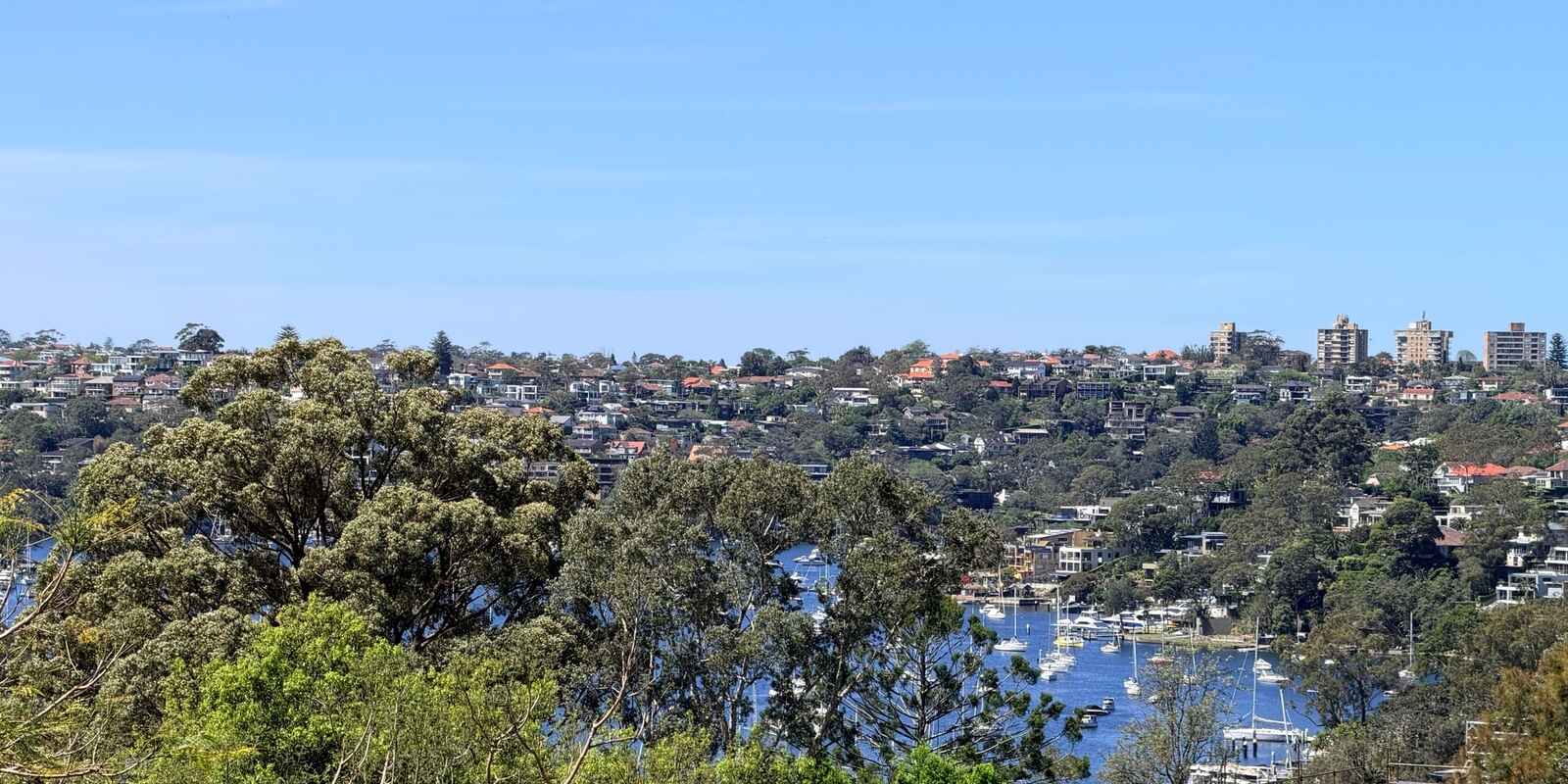 40A Pine Street East Cammeray