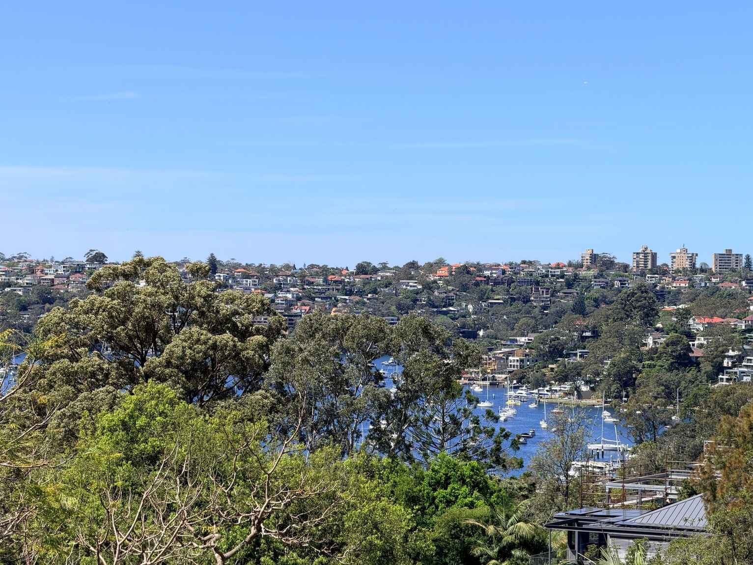 40A Pine Street East Cammeray